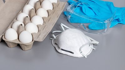 Eggs and personal protection equipment
